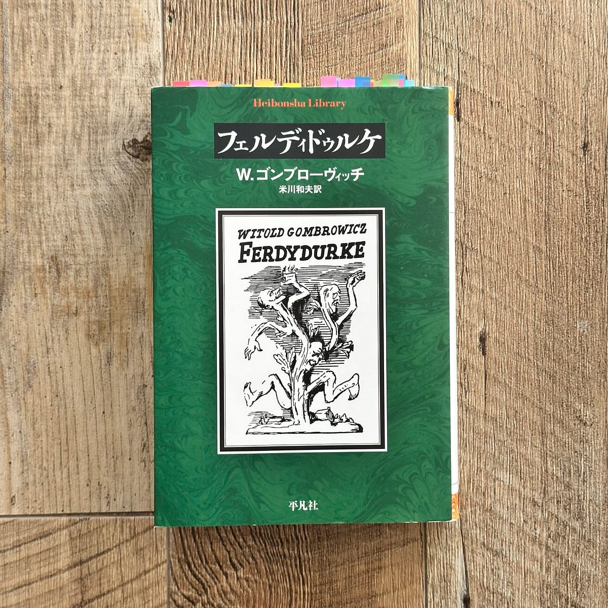 ヴィトルド・ゴンブローヴィッチ『フェルディドゥルケ』