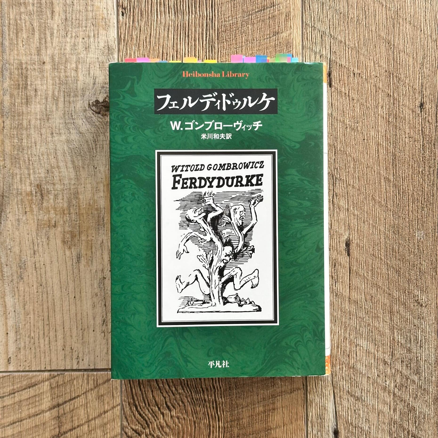 ヴィトルド・ゴンブローヴィッチ『フェルディドゥルケ』